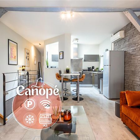 Le Canope - T3 Duplex, 2 Salles D'Eau, Hypercentre Кастр Экстерьер фото