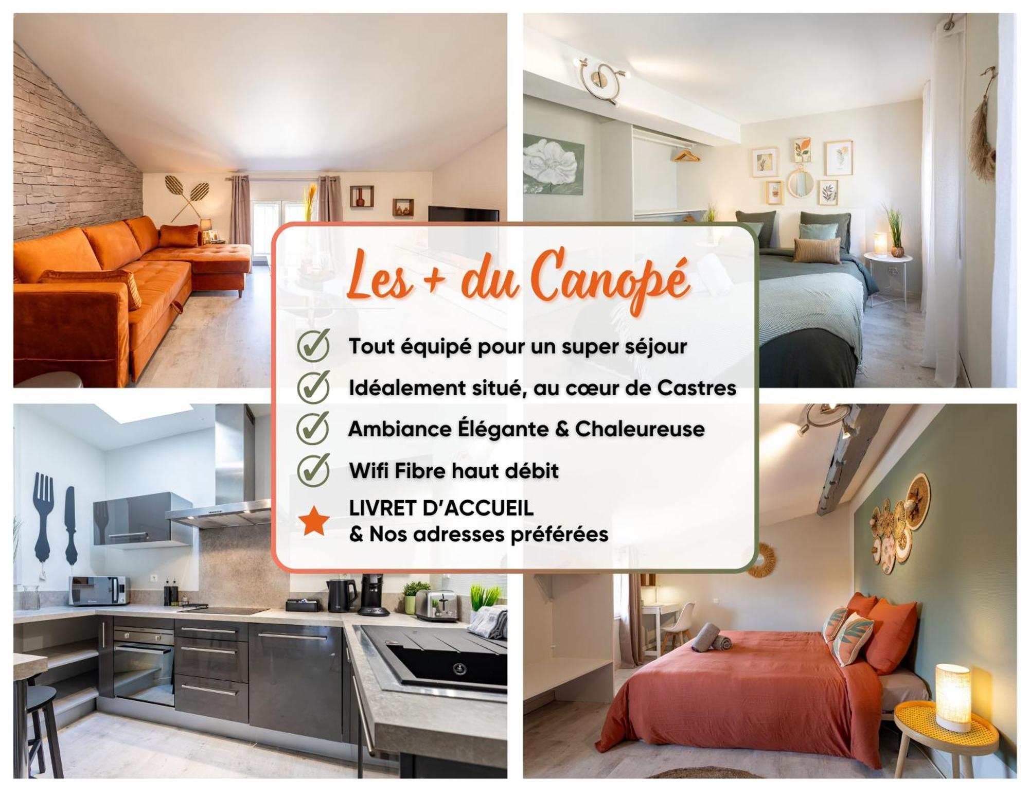 Le Canope - T3 Duplex, 2 Salles D'Eau, Hypercentre Кастр Экстерьер фото