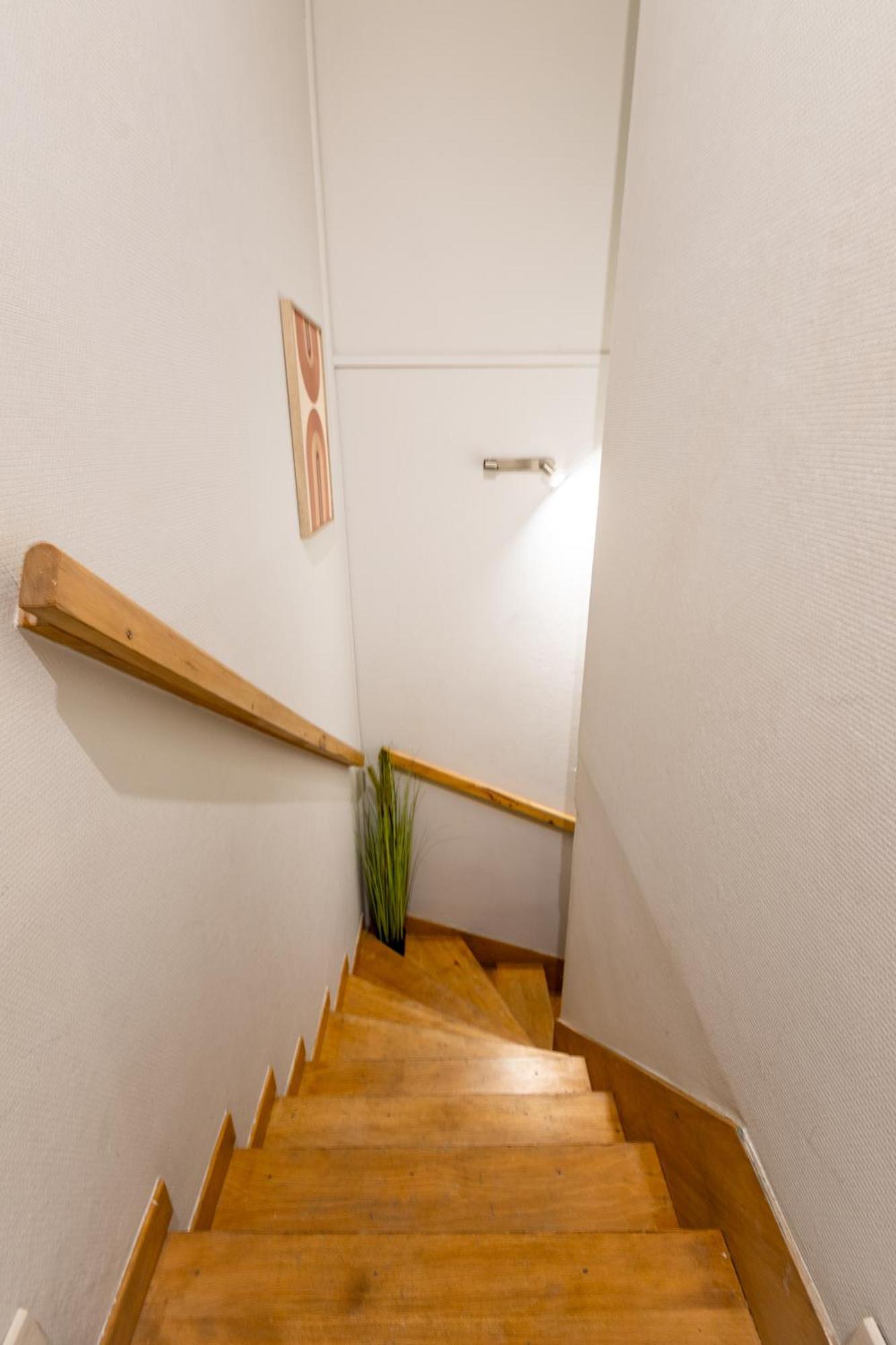 Le Canope - T3 Duplex, 2 Salles D'Eau, Hypercentre Кастр Экстерьер фото