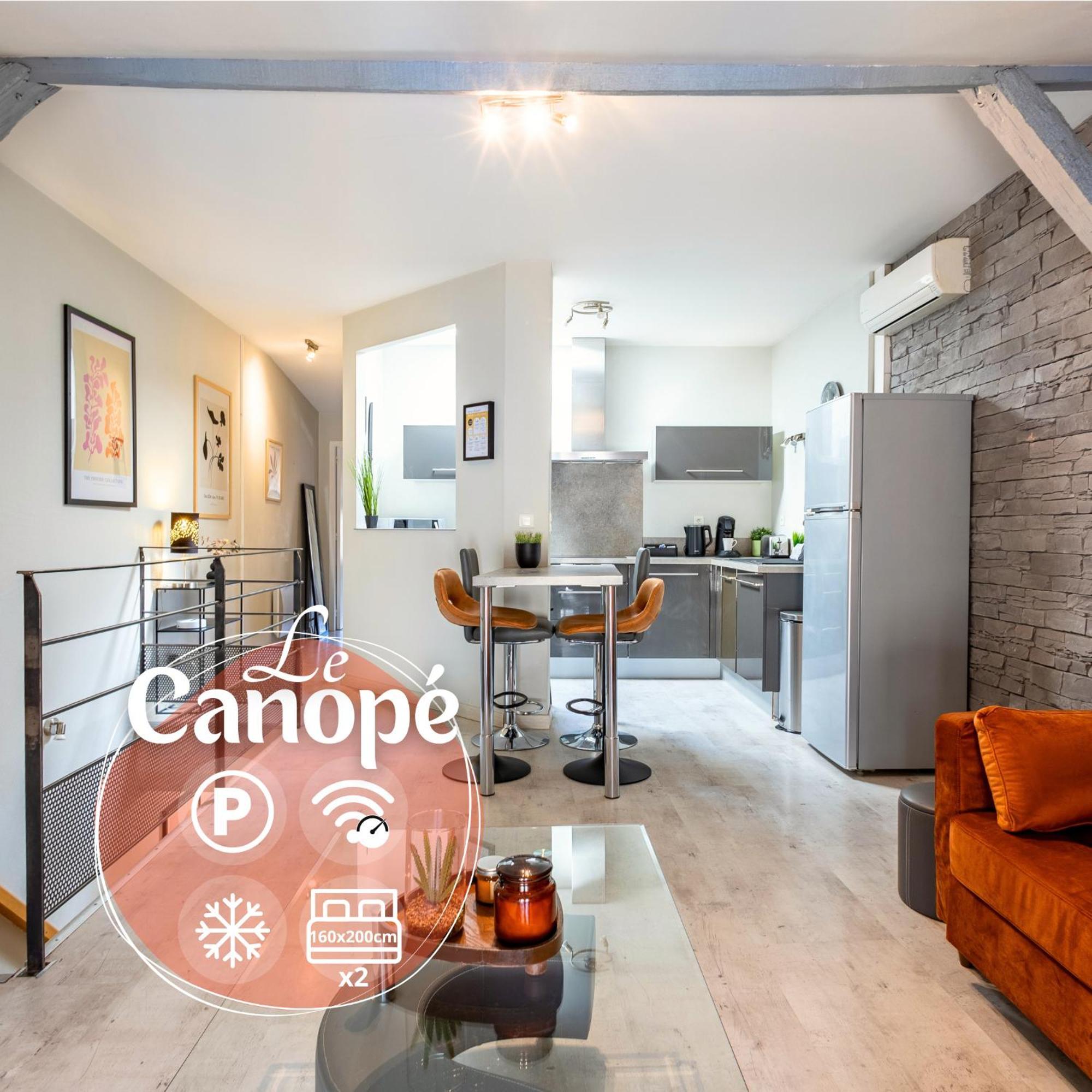 Le Canope - T3 Duplex, 2 Salles D'Eau, Hypercentre Кастр Экстерьер фото